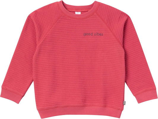 Baby Boys 2-Piece Long-Sleeve Top & Short Set